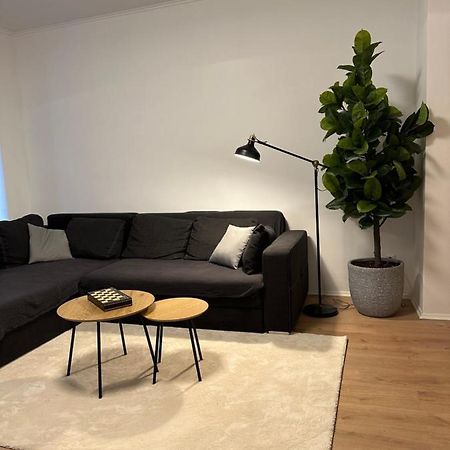 Ferienwohnung Haus Paraschiv Aue  Exteriér fotografie