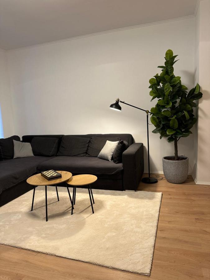Ferienwohnung Haus Paraschiv Aue  Exteriér fotografie
